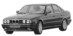 BMW E34 P319C Fault Code