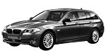 BMW F11 P319C Fault Code